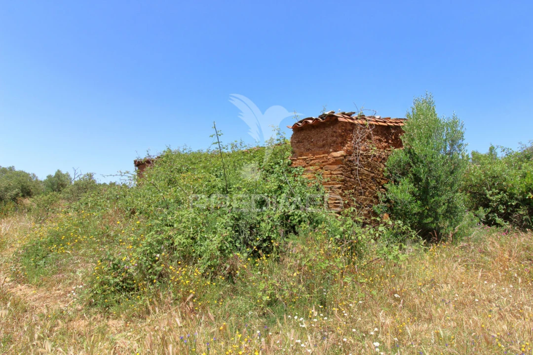 Quinta T3 para Venda em São Salvador e Santa Maria Foto 2