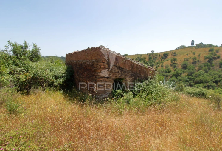 Quinta T3 para Venda em São Salvador e Santa Maria