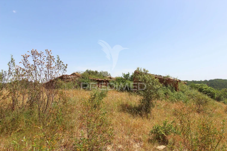 Quinta T3 para Venda em São Salvador e Santa Maria Foto 6