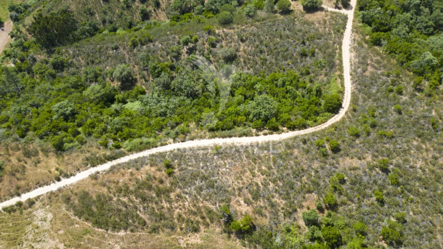 Quinta T3 para Venda em São Salvador e Santa Maria Foto 17