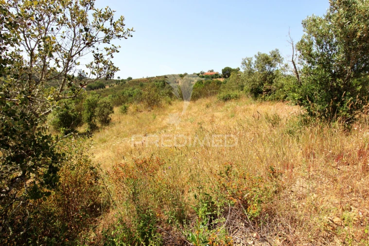 Quinta T3 para Venda em São Salvador e Santa Maria Foto 9