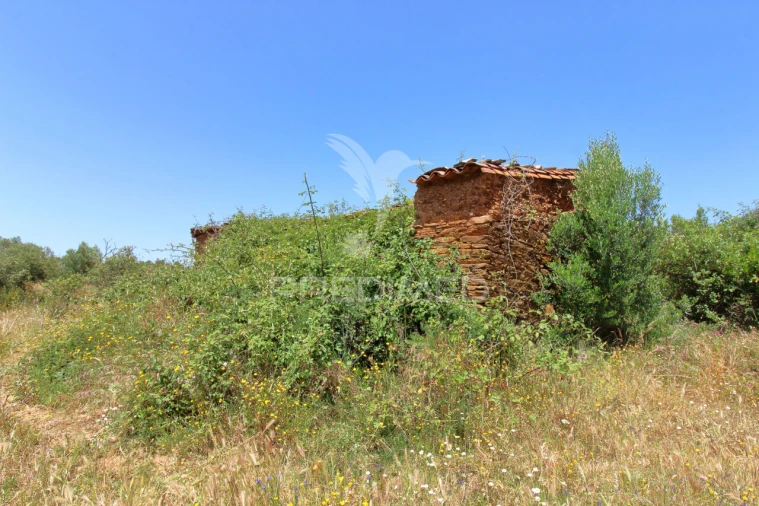 Quinta T3 para Venda em São Salvador e Santa Maria Foto 2