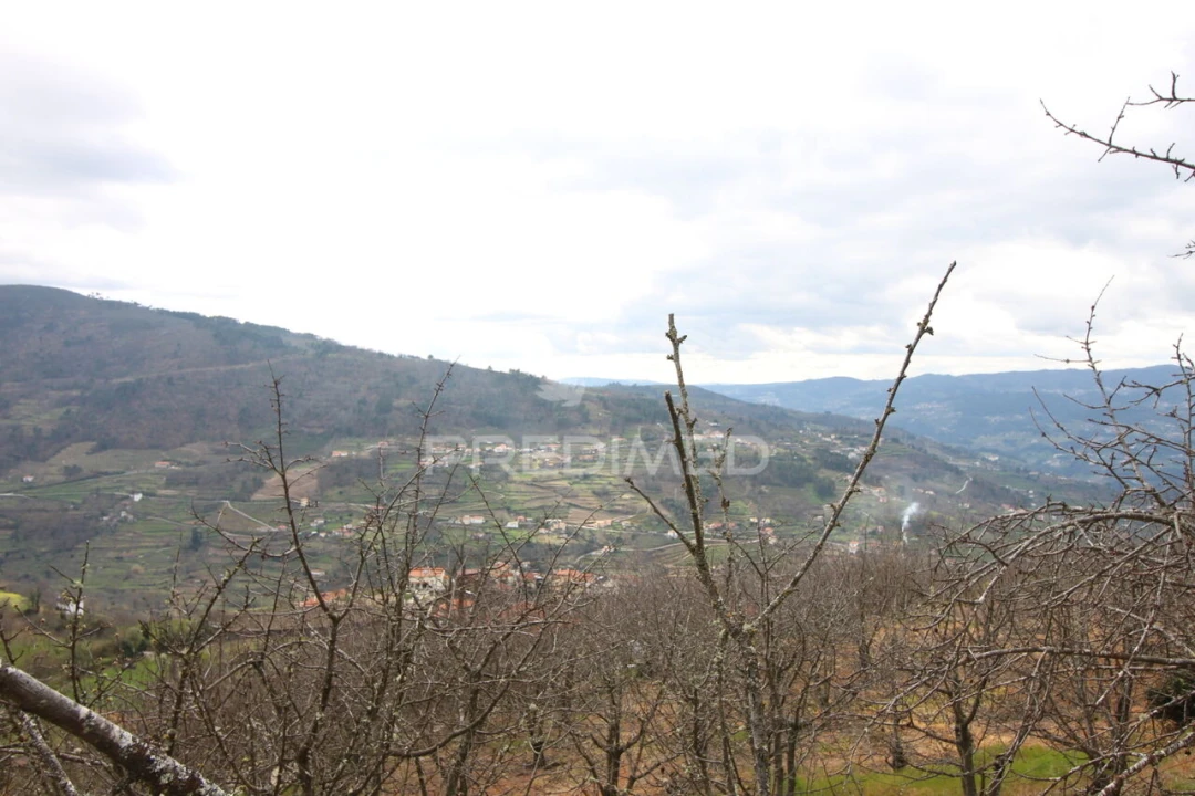 Quinta T2 para Venda em São Martinho de Mouros Foto 11