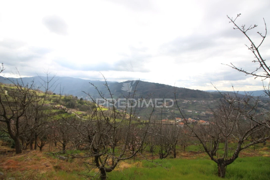 Quinta T2 para Venda em São Martinho de Mouros Foto 14