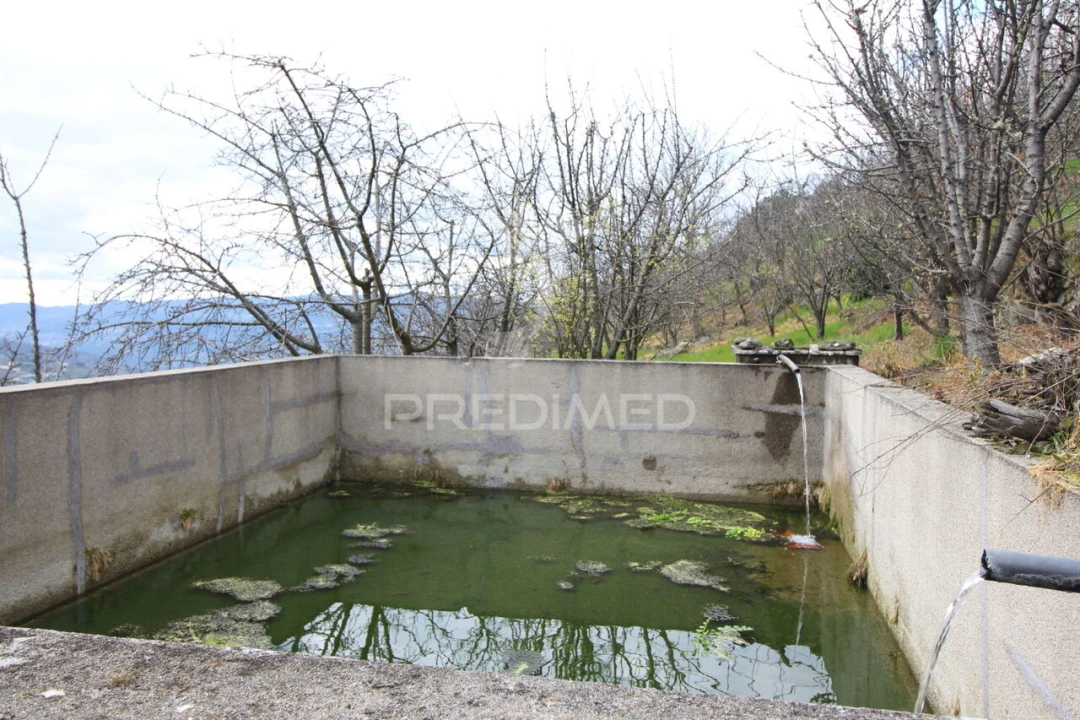 Quinta T2 para Venda em São Martinho de Mouros Foto 9