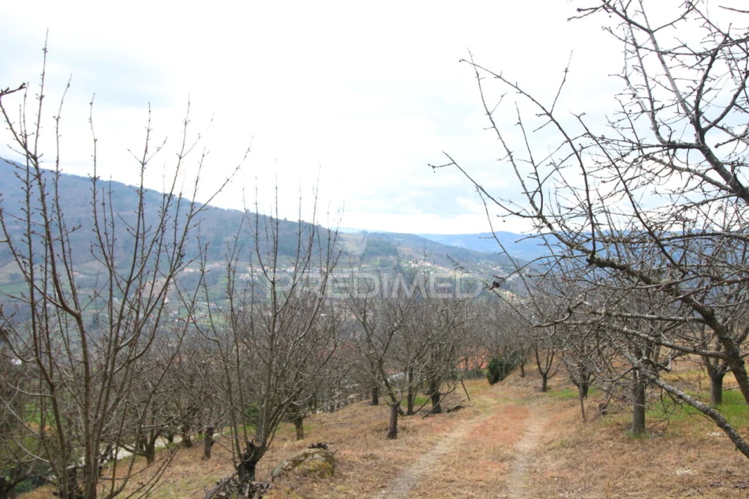 Quinta T2 para Venda em São Martinho de Mouros Foto 8