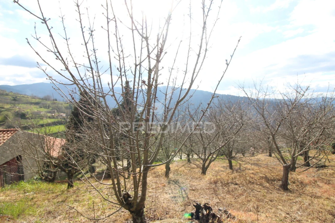 Quinta T2 para Venda em São Martinho de Mouros Foto 16