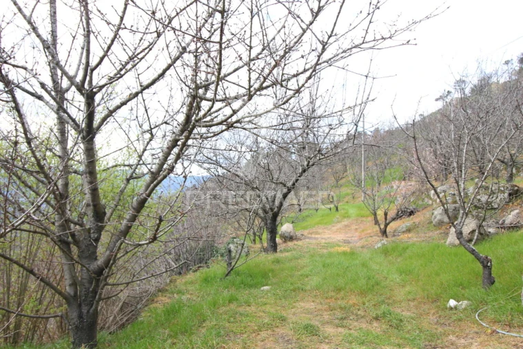 Quinta T2 para Venda em São Martinho de Mouros Foto 13