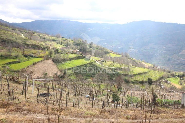 Quinta T2 para Venda em São Martinho de Mouros Foto 12