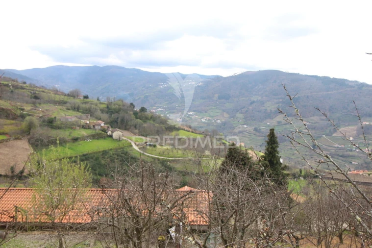 Quinta T2 para Venda em São Martinho de Mouros Foto 10