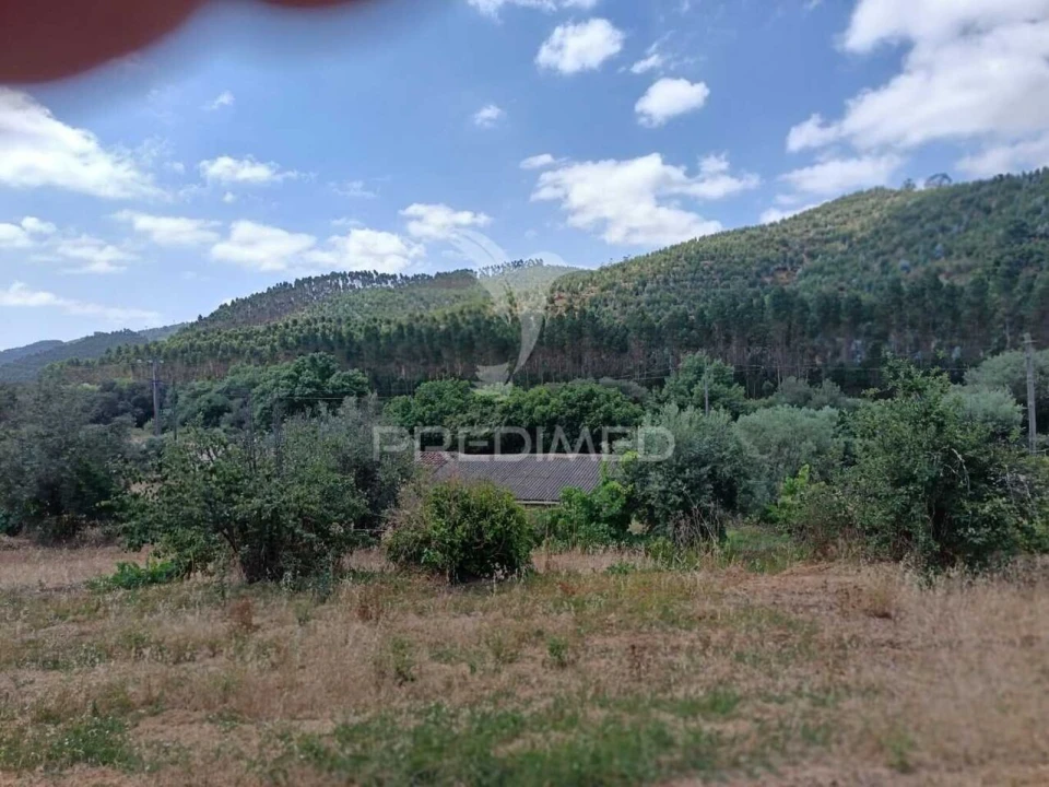 Quinta T5 para Venda em São Barnabe Foto 6