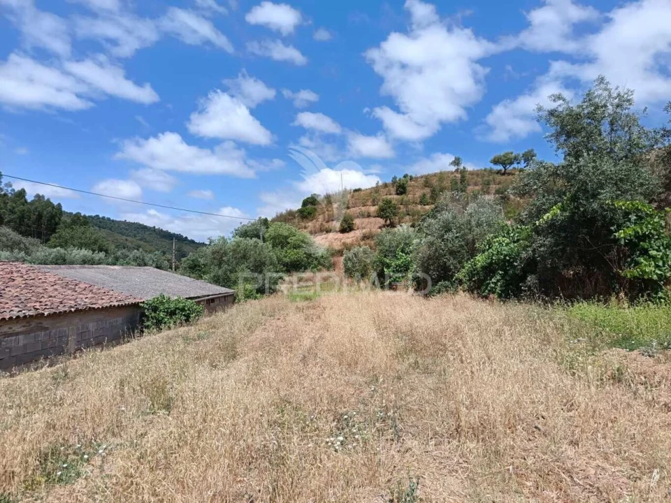 Quinta T5 para Venda em São Barnabe Foto 27