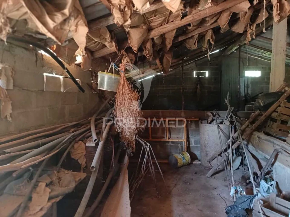 Quinta T5 para Venda em São Barnabe Foto 32