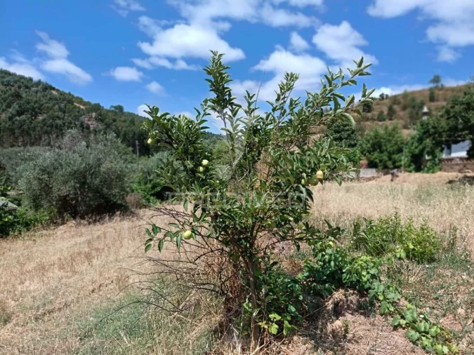 Quinta T5 para Venda em São Barnabe Foto 21