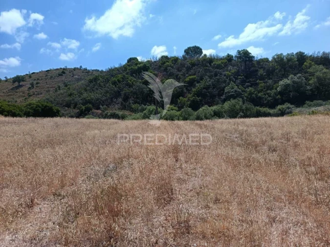 Quinta T5 para Venda em São Barnabe Foto 29