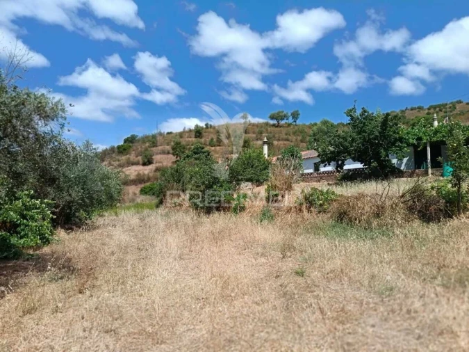 Quinta T5 para Venda em São Barnabe Foto 23