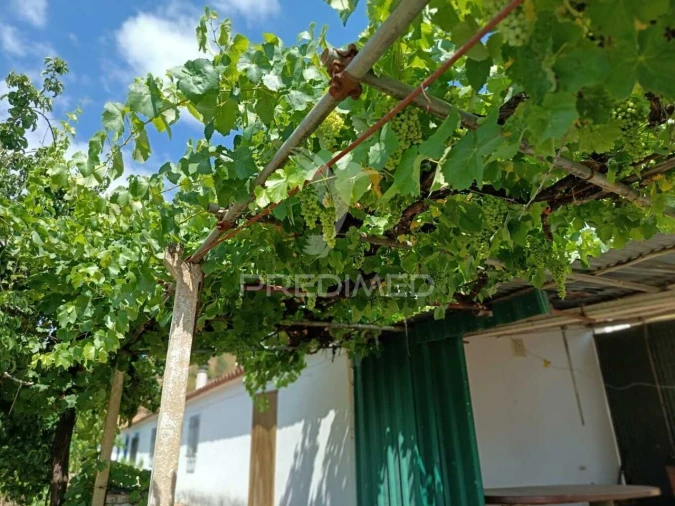 Quinta T5 para Venda em São Barnabe Foto 5