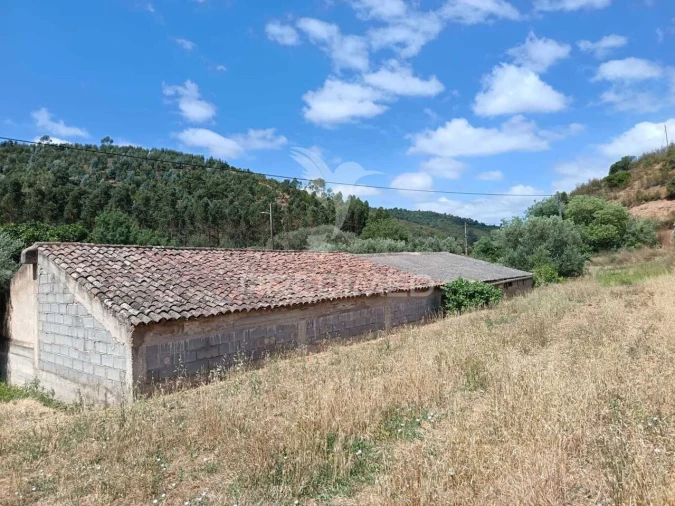 Quinta T5 para Venda em São Barnabe Foto 28