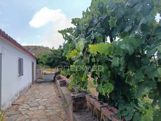 Quinta T5 para Venda em São Barnabe Foto 2