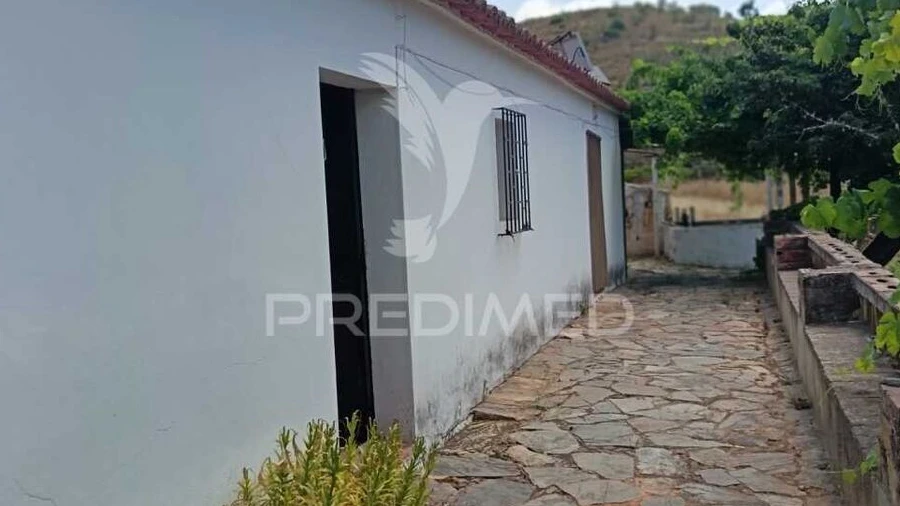 Quinta T5 para Venda em São Barnabe