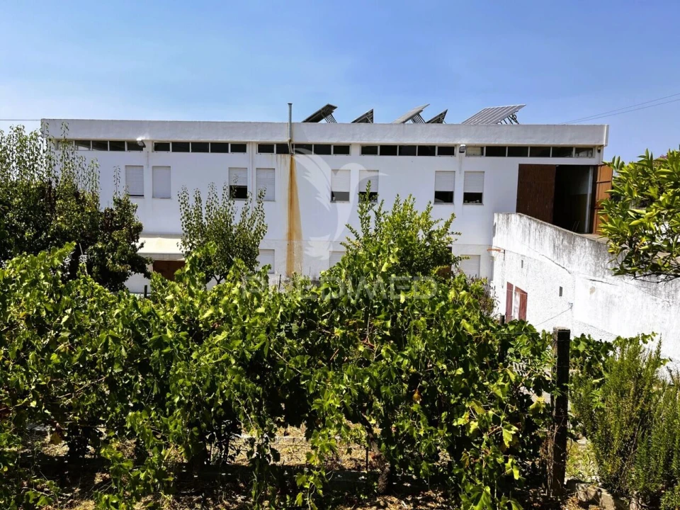 Armazém para Venda em Riachos Foto 5