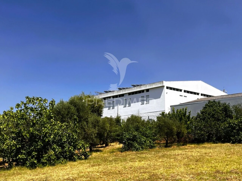 Armazém para Venda em Riachos Foto 12