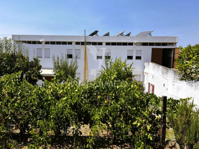 Armazém para Venda em Riachos Foto 5