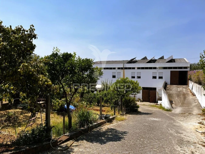 Armazém para Venda em Riachos Foto 3