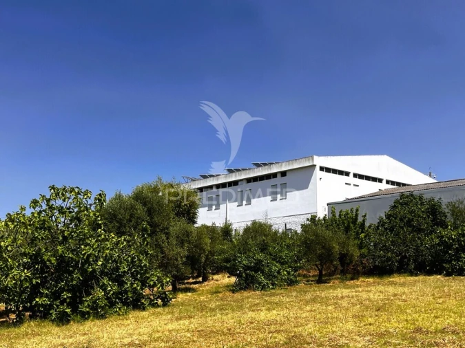 Armazém para Venda em Riachos Foto 12