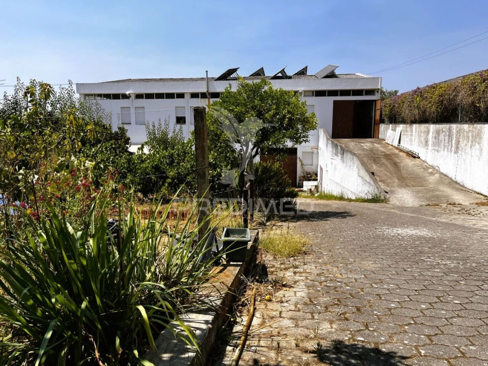 Armazém para Venda em Riachos Foto 4