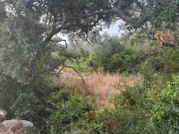 Terreno para Venda em São Brás de Alportel