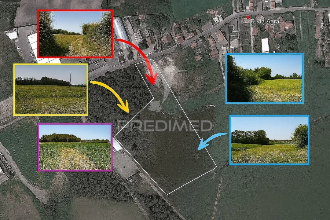 Terreno para Venda em Guilhabreu Foto 7