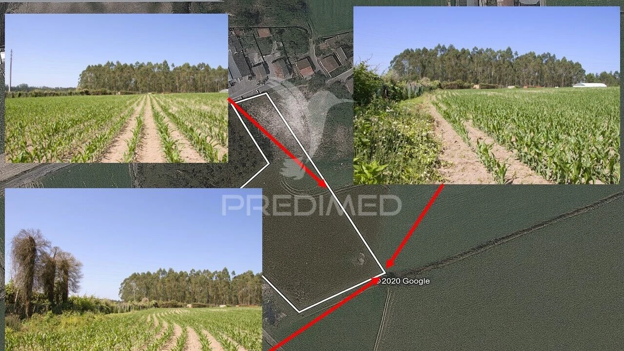 Terreno para Venda em Guilhabreu Foto 5