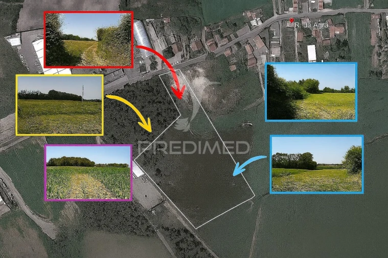 Terreno para Venda em Guilhabreu Foto 7