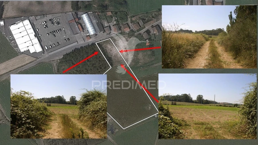 Terreno para Venda em Guilhabreu Foto 2