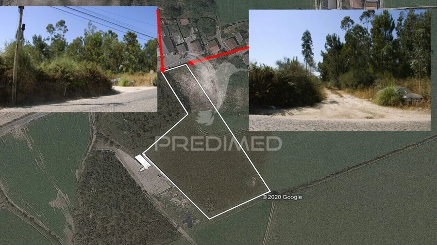 Terreno para Venda em Guilhabreu