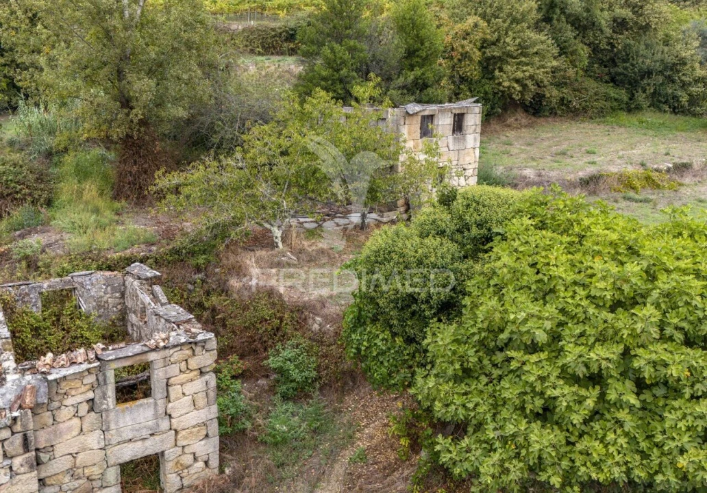 Quinta T6 para Venda em Boelhe Foto 16