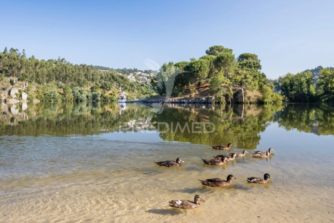 Quinta T6 para Venda em Boelhe Foto 19