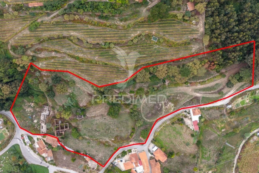 Quinta T6 para Venda em Boelhe Foto 1