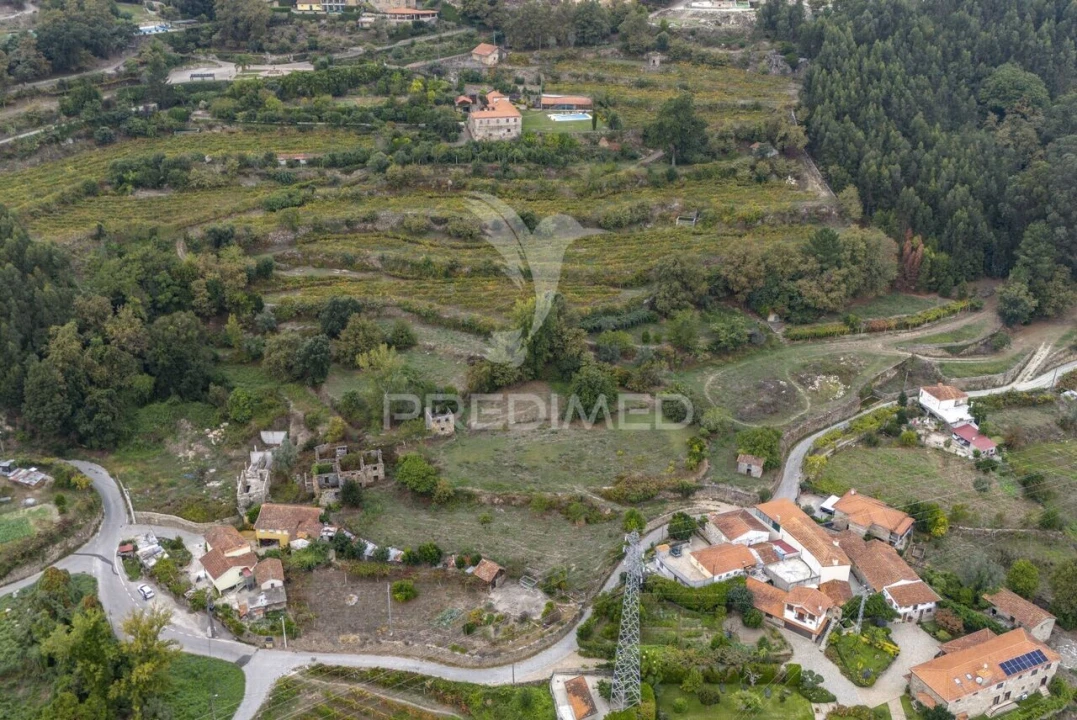 Quinta T6 para Venda em Boelhe Foto 12