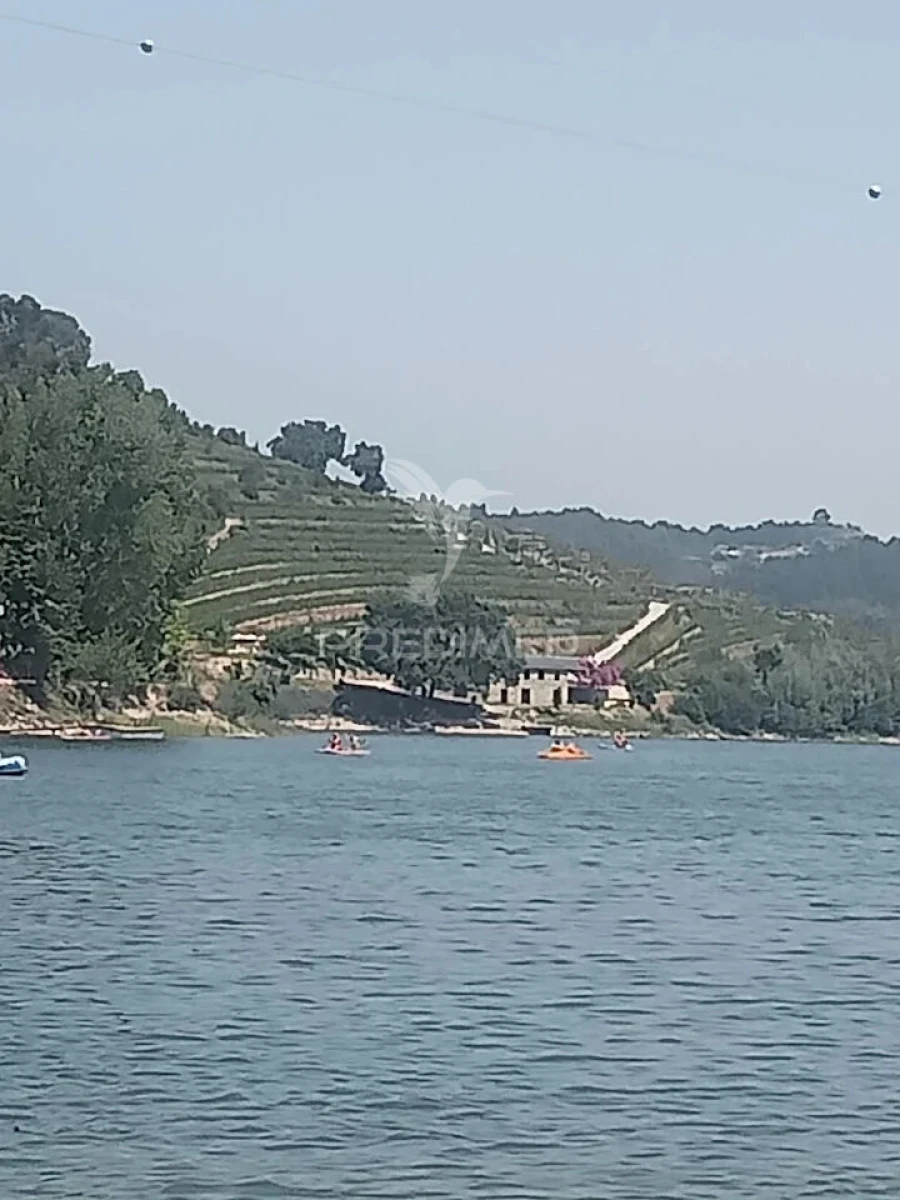 Quinta T6 para Venda em Boelhe Foto 24