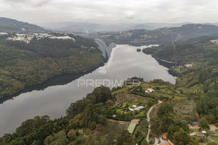 Quinta T6 para Venda em Boelhe Foto 9