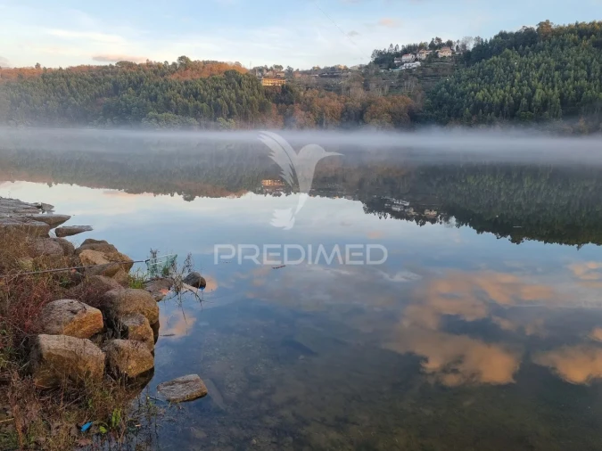 Quinta T6 para Venda em Boelhe Foto 21