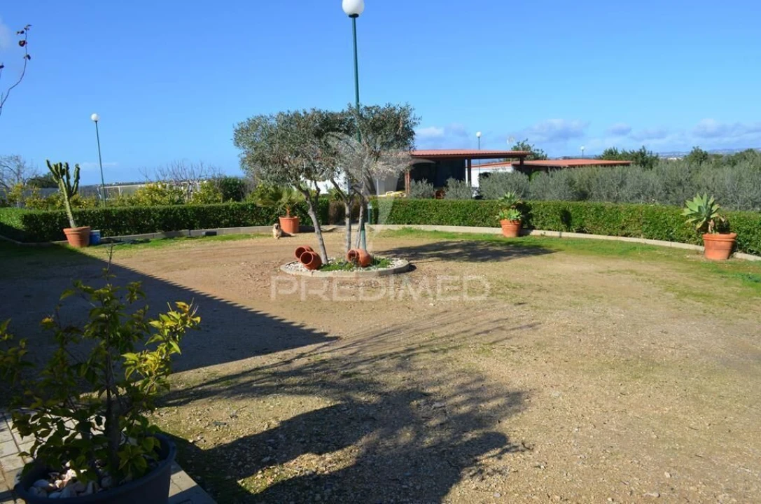 Quinta T5 para Venda em Guia Foto 18