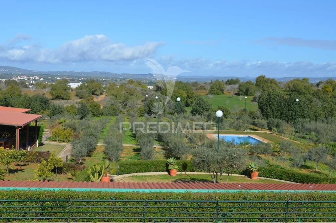 Quinta T5 para Venda em Guia Foto 17