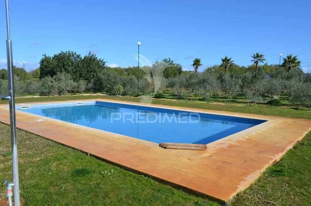 Quinta T5 para Venda em Guia Foto 26