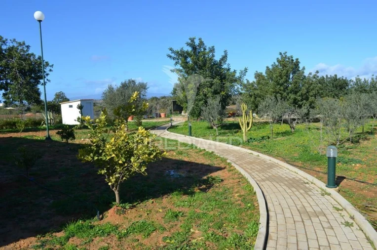 Quinta T5 para Venda em Guia Foto 24