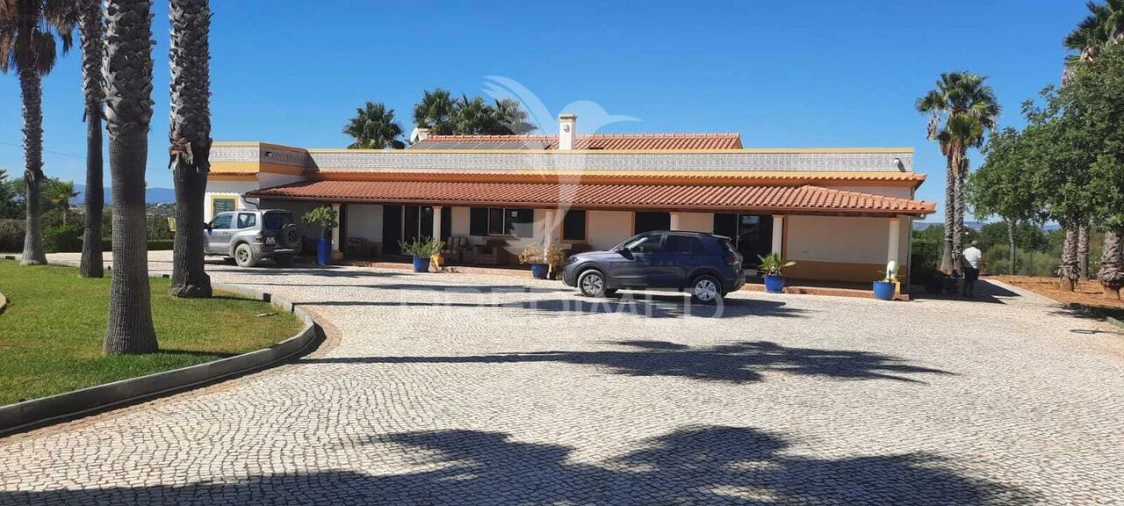 Quinta T5 para Venda em Guia Foto 2