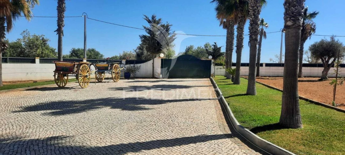 Quinta T5 para Venda em Guia Foto 1