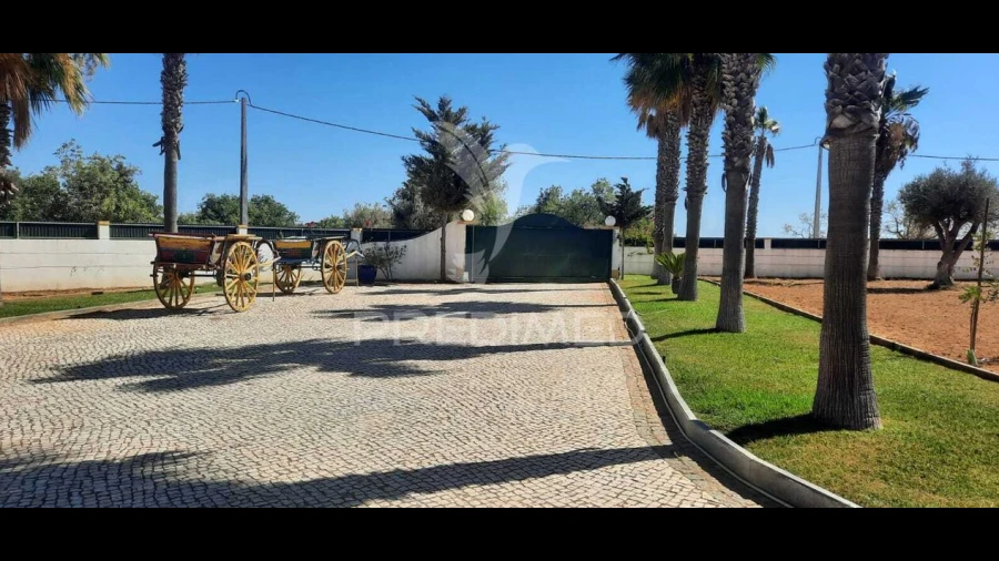 Quinta T5 para Venda em Guia
